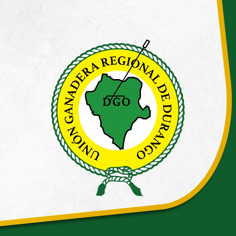 Logo de empresa u organización 2