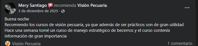 Reseña 9